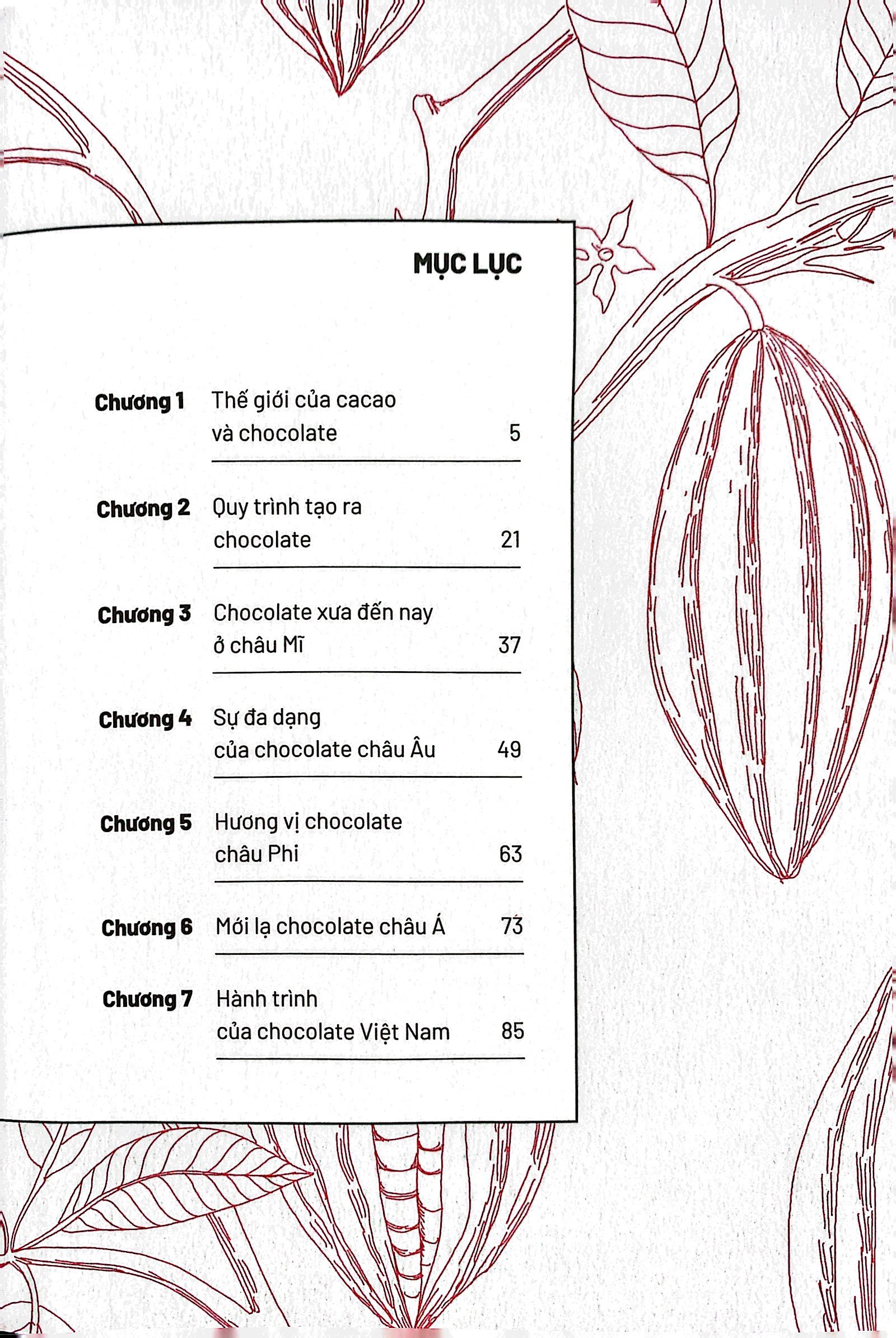 ẩm thực chinh phục thế giới - chocolate - Ảnh 4