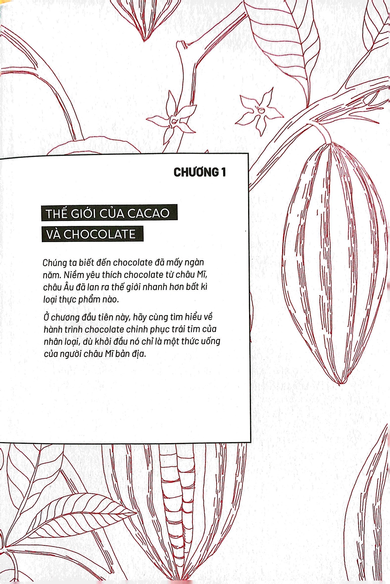 ẩm thực chinh phục thế giới - chocolate - Ảnh 5