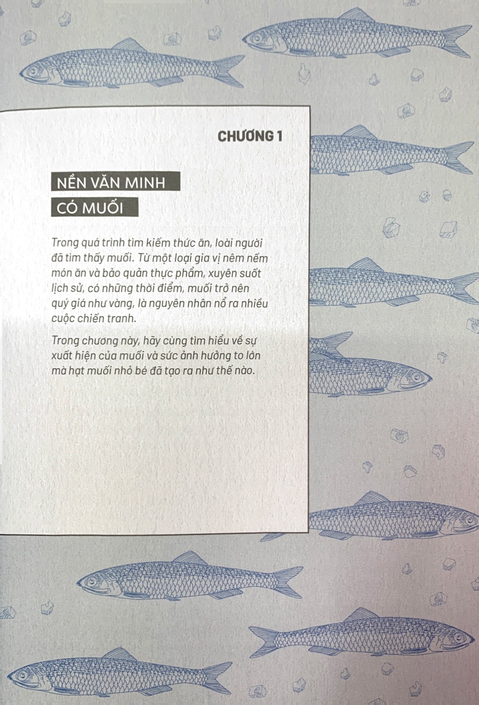 ẩm thực chinh phục thế giới - dư vị của muối - Ảnh 7