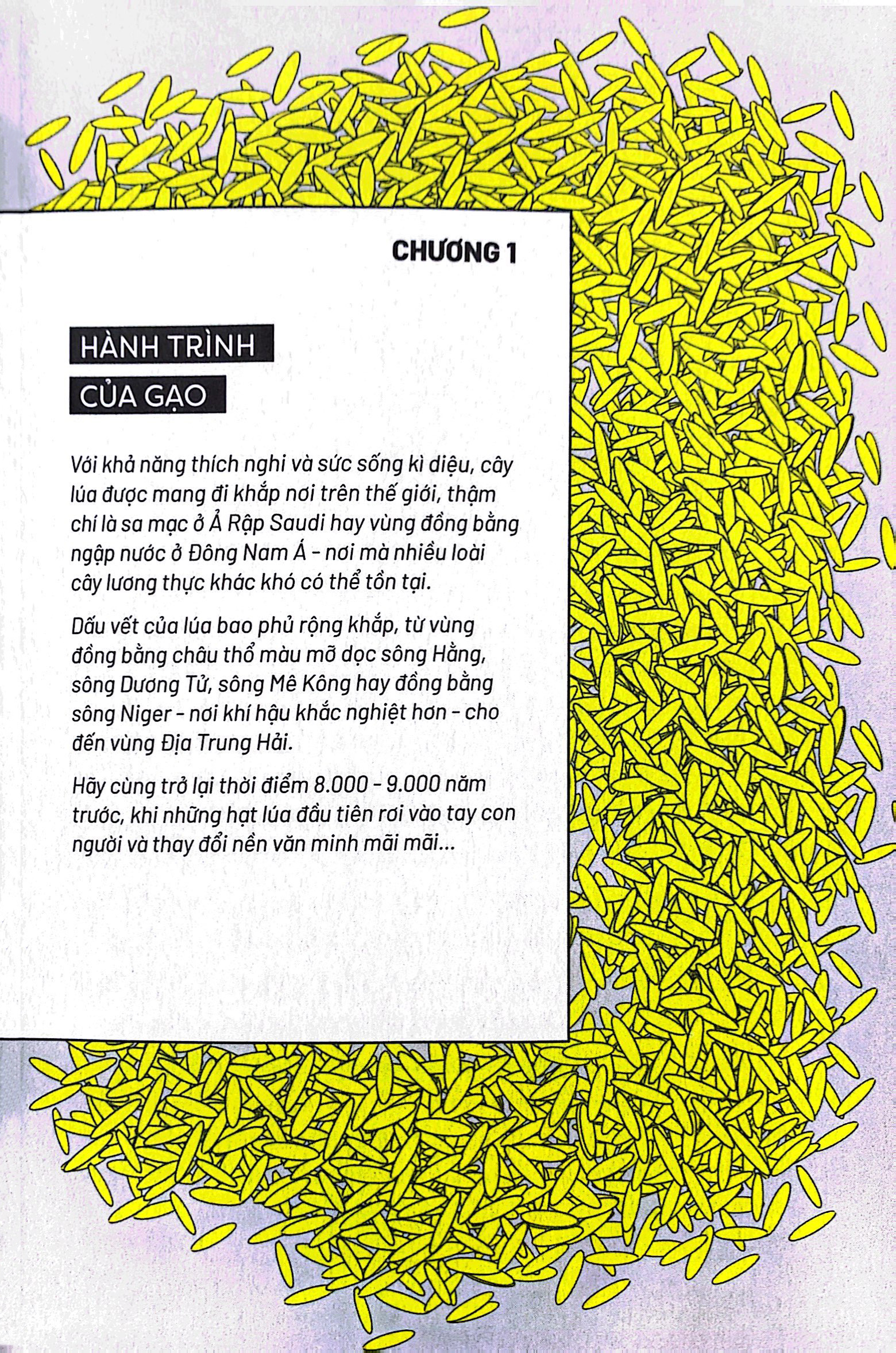 ẩm thực chinh phục thế giới - hạt gạo, hạt vàng - tặng kèm bookmark - Ảnh 4