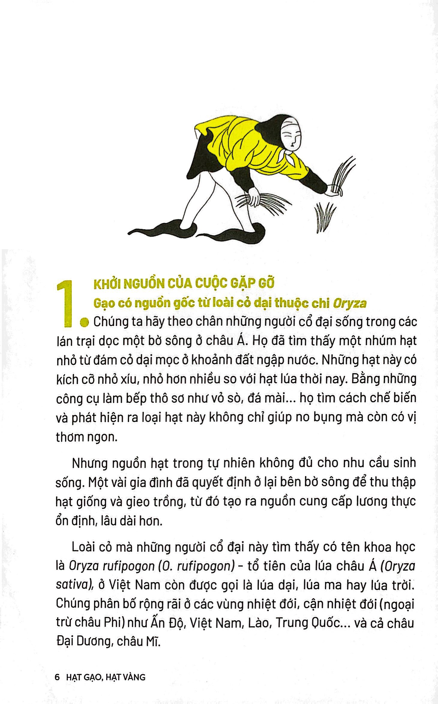 ẩm thực chinh phục thế giới - hạt gạo, hạt vàng - tặng kèm bookmark - Ảnh 5