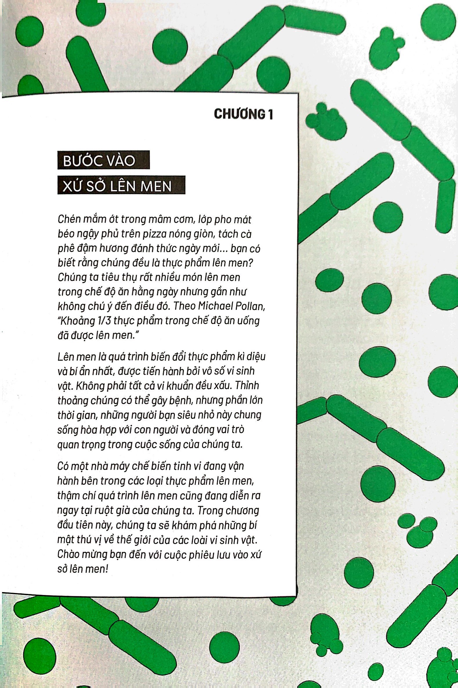 ẩm thực chinh phục thế giới - món lên men - Ảnh 6