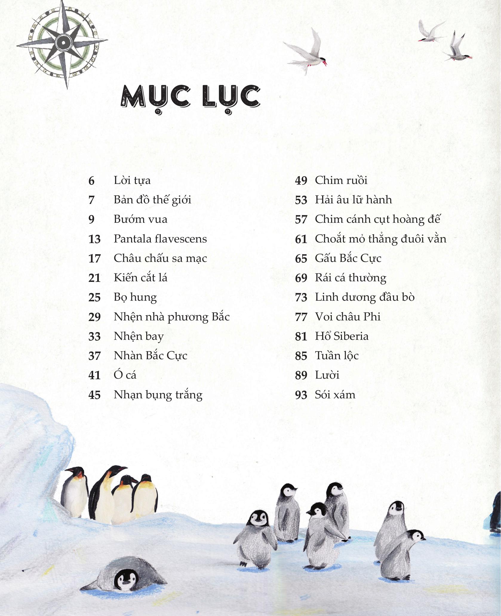 amazing animal journeys - những chuyến di cư và hành trình phi thường nhất! - bìa cứng - Ảnh 3