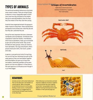 amazing animals: 100+ creatures that will boggle your mind - Ảnh 10