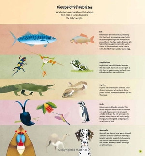 amazing animals: 100+ creatures that will boggle your mind - Ảnh 11