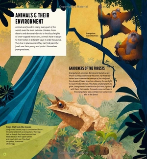 amazing animals: 100+ creatures that will boggle your mind - Ảnh 12