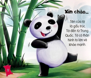 amazing animals - những loài vật đáng kinh ngạc! - gấu trúc núc na núc ních - Ảnh 2