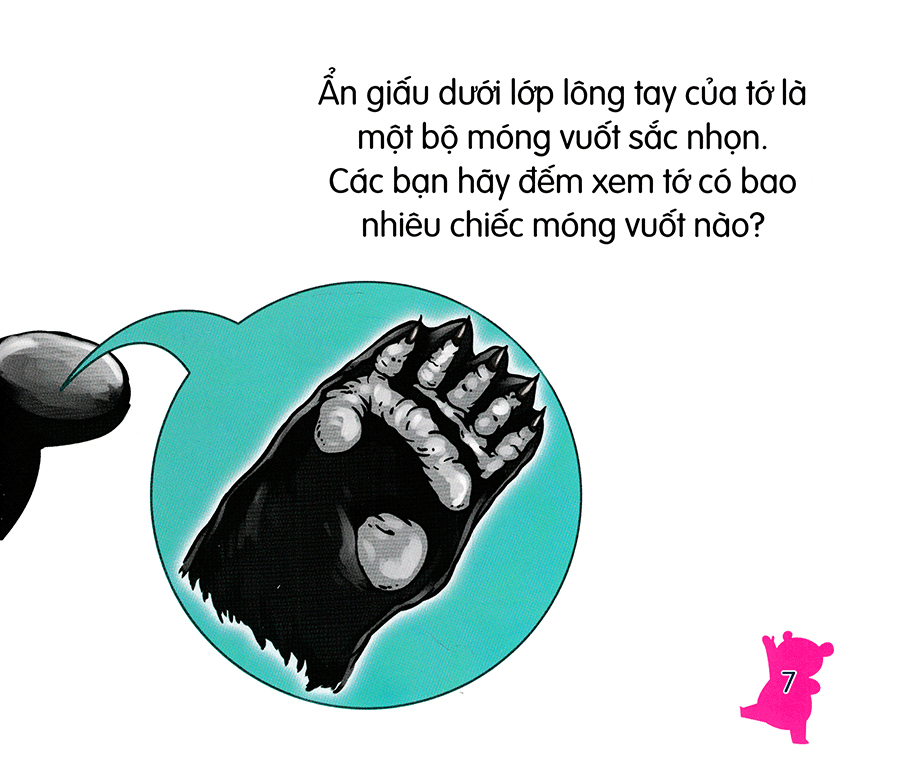 amazing animals - những loài vật đáng kinh ngạc! - gấu trúc - núc na núc ních (tái bản) - Ảnh 9