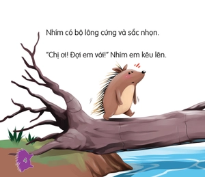 amazing animals - những loài vật đáng kinh ngạc! - nhím - lông nhọn như kim (tái bản) - Ảnh 5