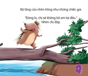 amazing animals - những loài vật đáng kinh ngạc! - nhím - lông nhọn như kim (tái bản) - Ảnh 6