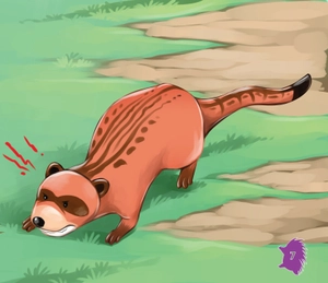 amazing animals - những loài vật đáng kinh ngạc! - nhím - lông nhọn như kim (tái bản) - Ảnh 8