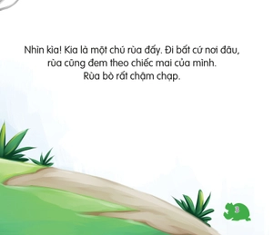 amazing animals - những loài vật đáng kinh ngạc! - rùa - chậm mà chắc (tái bản) - Ảnh 4