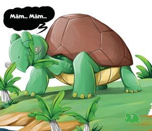 amazing animals - những loài vật đáng kinh ngạc! - rùa - chậm mà chắc (tái bản) - Ảnh 8