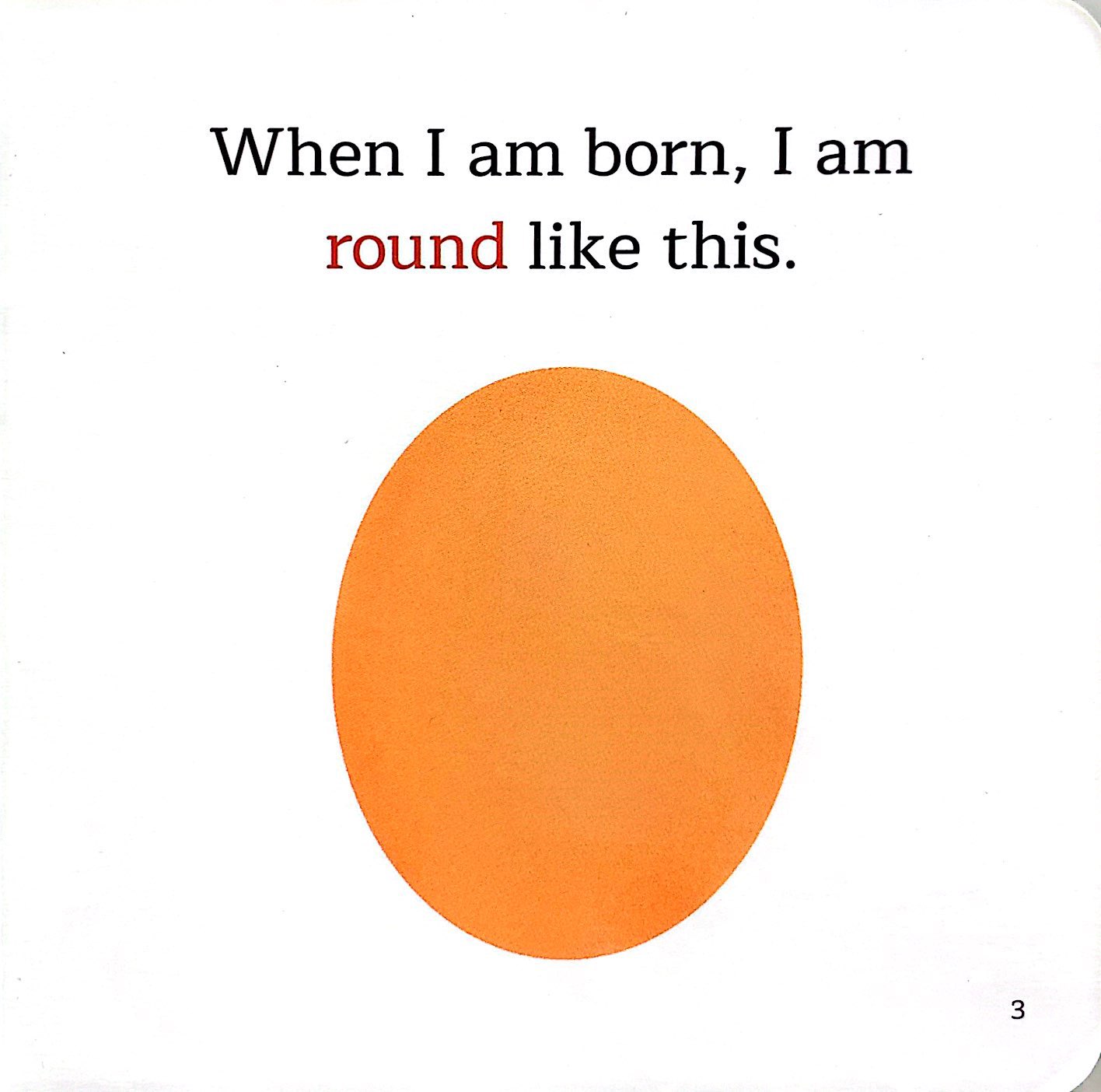 amazing transformations - guess who i am? - bìa cứng - Ảnh 5