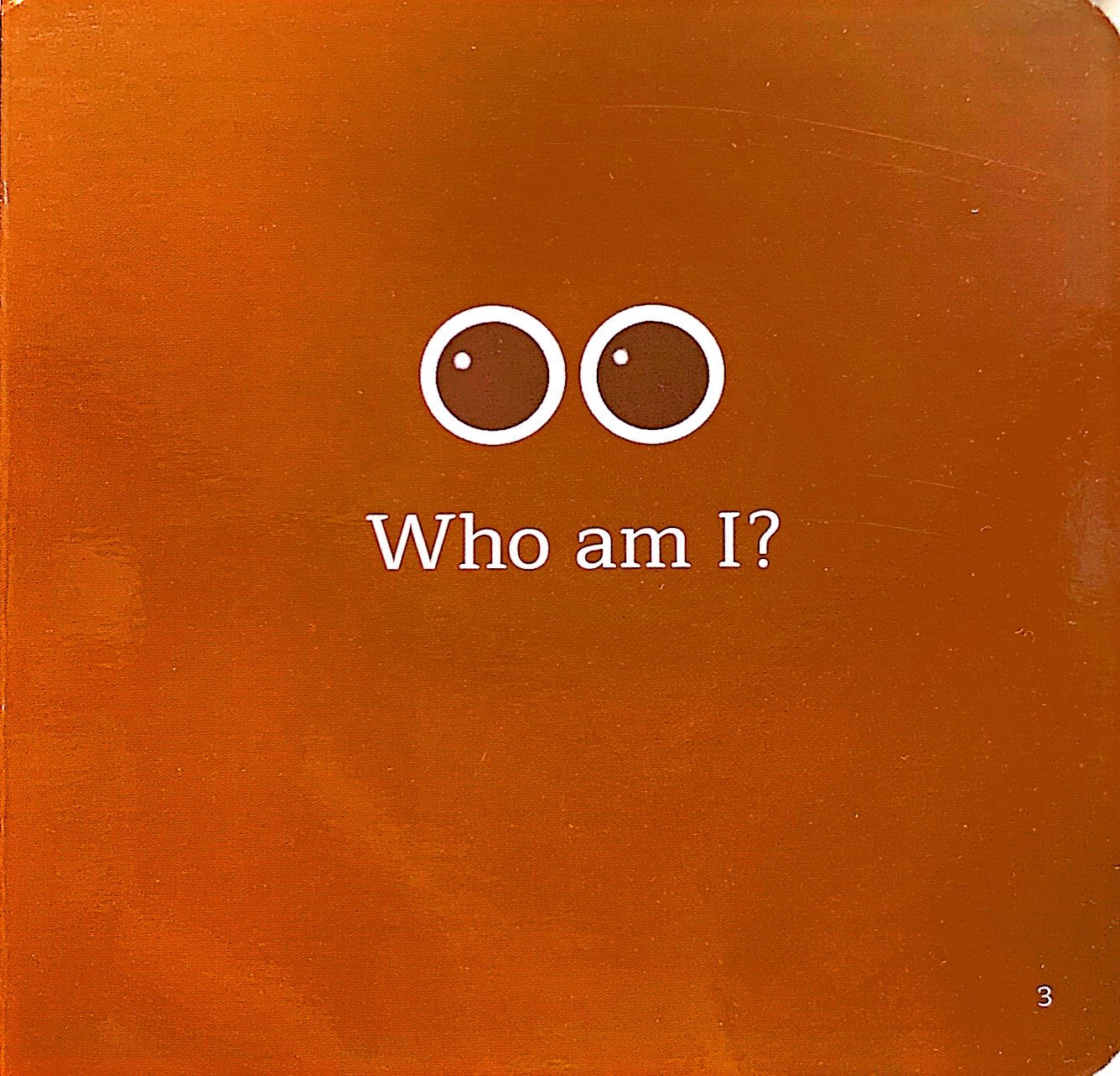 amazing transformations - who could i be? - bìa cứng - Ảnh 5