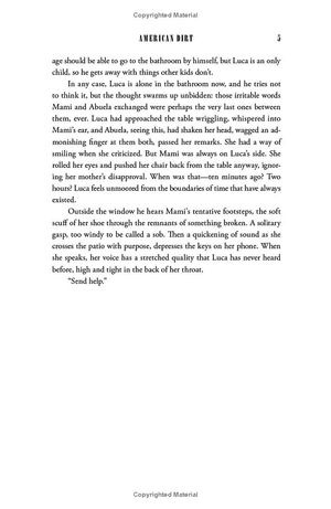 american dirt: the heartstopping read that will live with you for ever - Ảnh 11