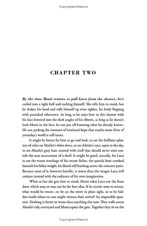 american dirt: the heartstopping read that will live with you for ever - Ảnh 12