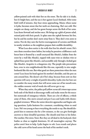 american dirt: the heartstopping read that will live with you for ever - Ảnh 13