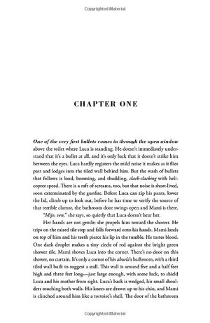 american dirt: the heartstopping read that will live with you for ever - Ảnh 7