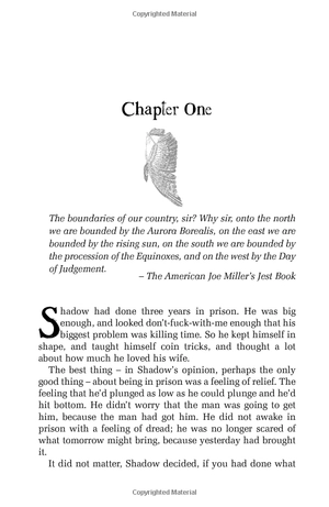 american gods: the tenth anniversary edition: a novel - Ảnh 7