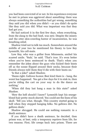 american gods: the tenth anniversary edition: a novel - Ảnh 8