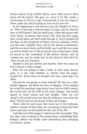 american gods: the tenth anniversary edition: a novel - Ảnh 9