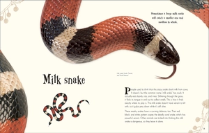 an anthology of intriguing animals - Ảnh 5