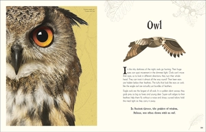 an anthology of intriguing animals - Ảnh 7