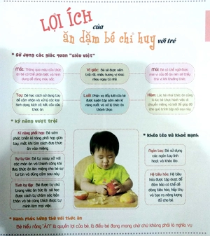 ăn dặm không phải là cuộc chiến (tái bản) - Ảnh 6