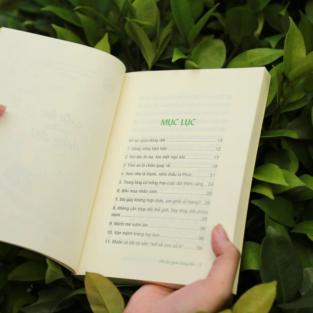 an lạc giữa dòng đời - Ảnh 3