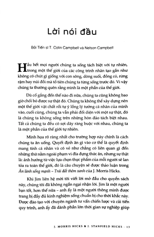 ăn lành sống mạnh - trái đất thêm xanh - Ảnh 4