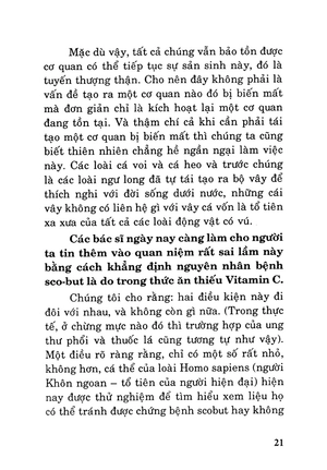 ăn nhiều hoa quả có nguy hiểm không? - Ảnh 19
