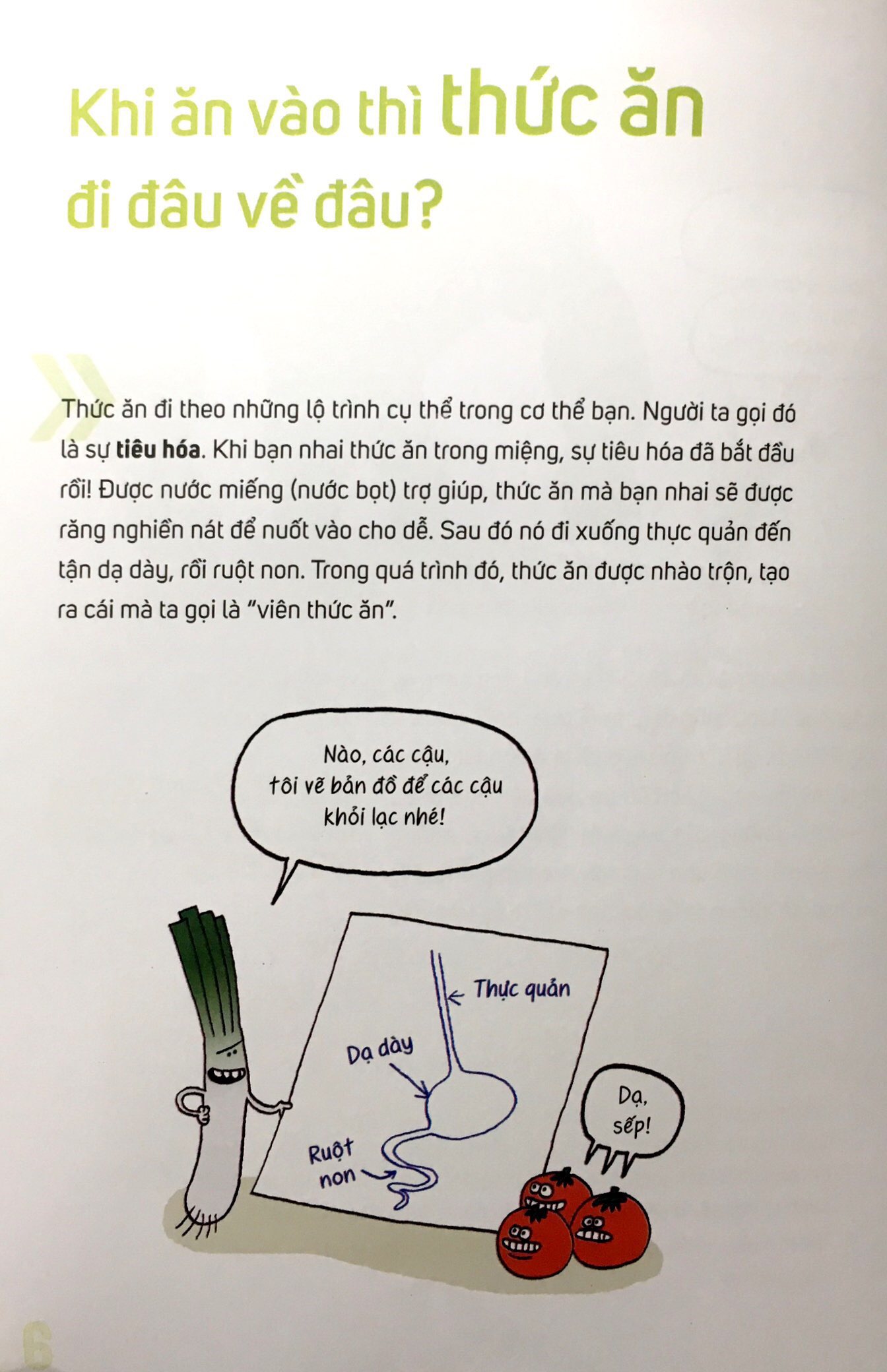 ăn rau bó xôi có khoẻ gấp đôi? - Ảnh 4