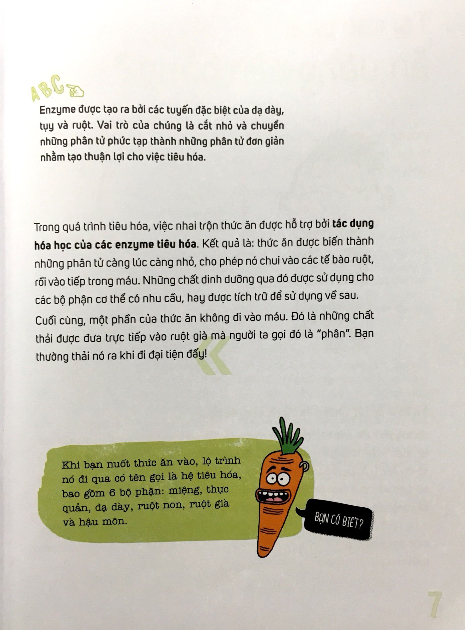 ăn rau bó xôi có khoẻ gấp đôi? - Ảnh 5