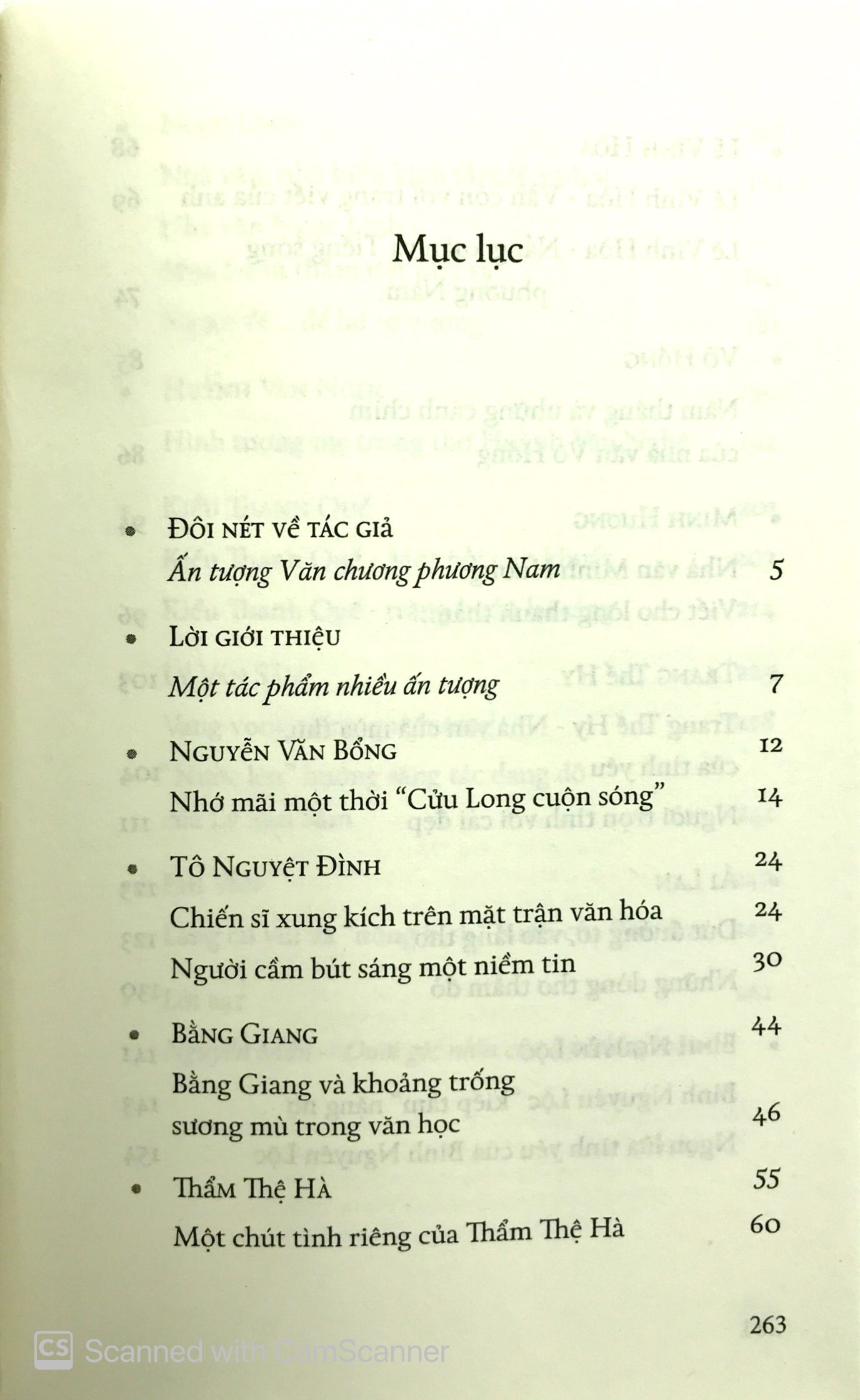 ấn tượng văn chương phương nam - Ảnh 3