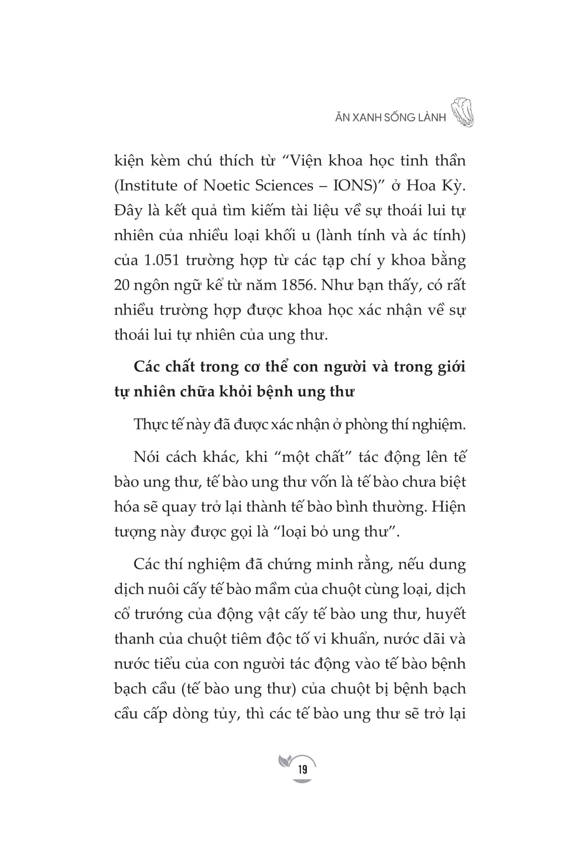 ăn xanh sống lành - Ảnh 17