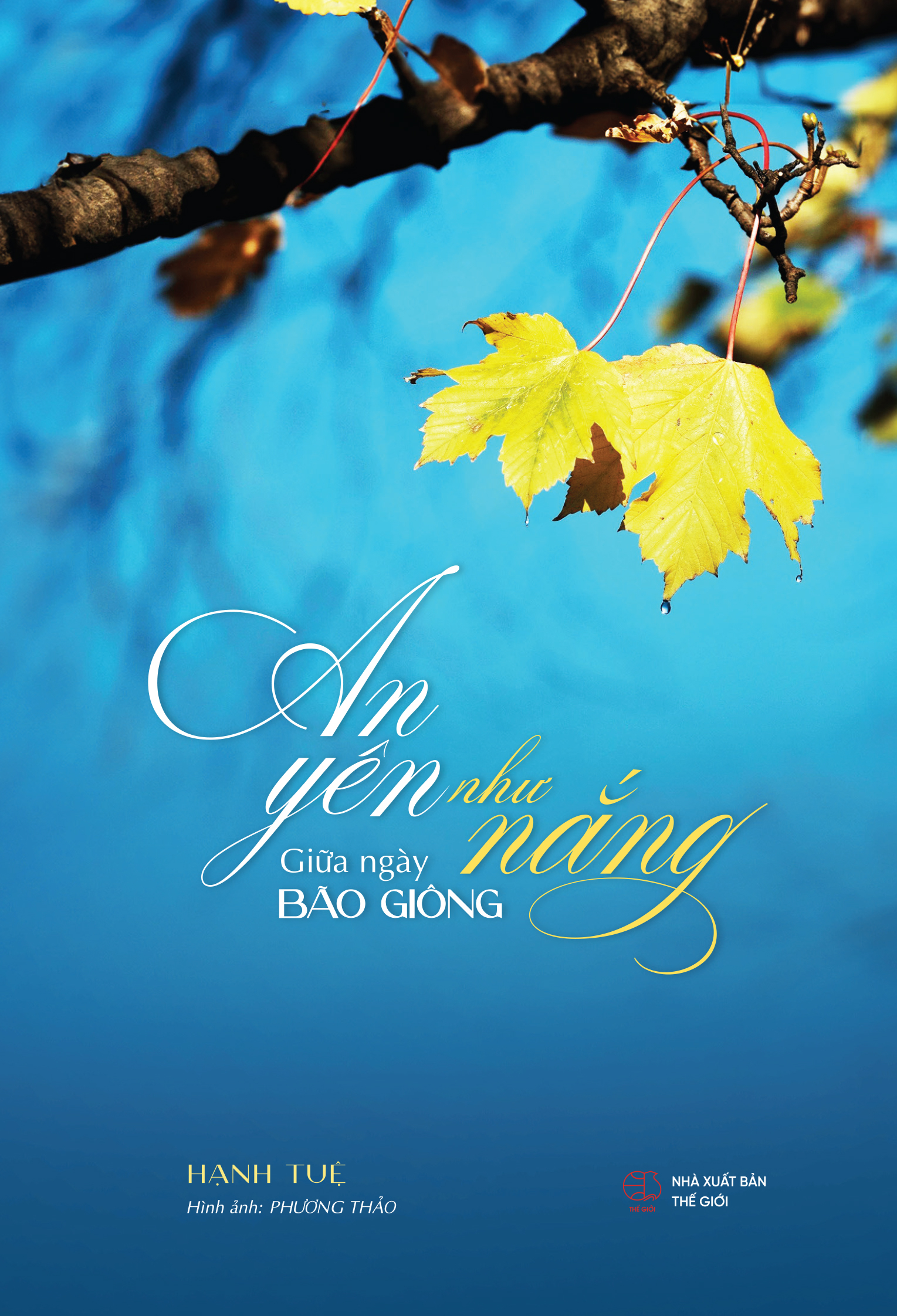 an yên như nắng giữa ngày bão giông - Ảnh 2