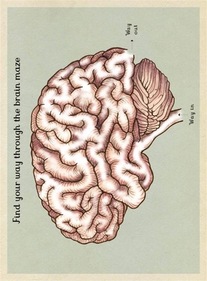 anatomicum activity book - Ảnh 3