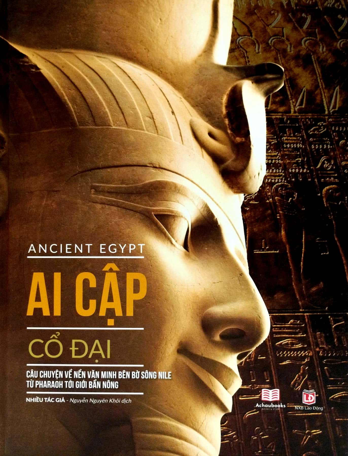 Ancient Egypt - Ai Cap Co Dai - Ảnh 2