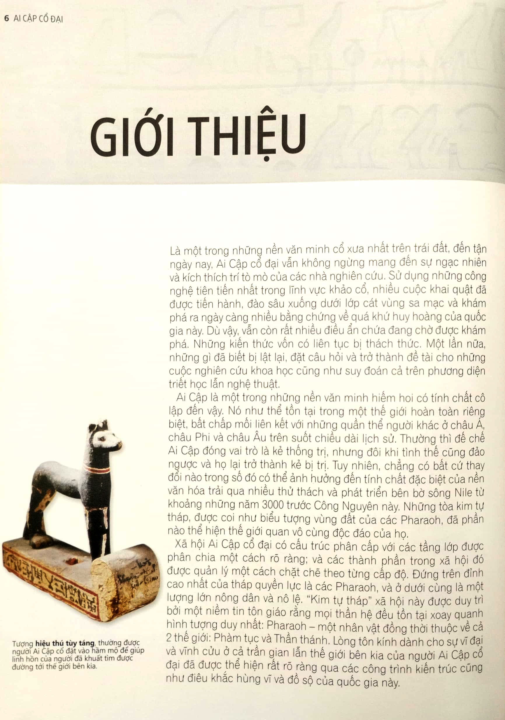 Ancient Egypt - Ai Cap Co Dai - Ảnh 4