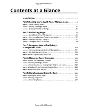 anger management for dummies 3rd edition - Ảnh 4