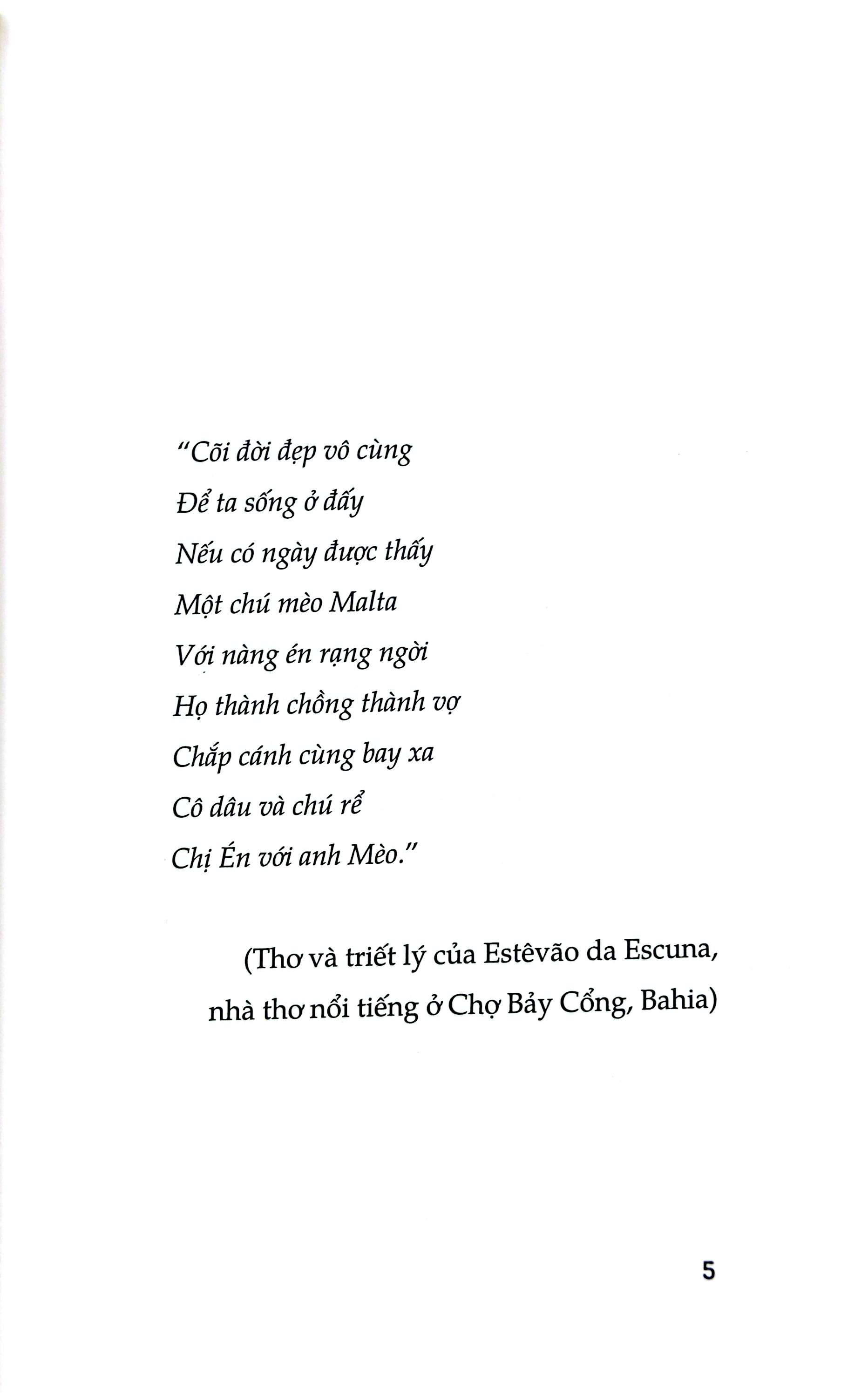 anh mèo vằn và cô chim én - một chuyện tình - Ảnh 3