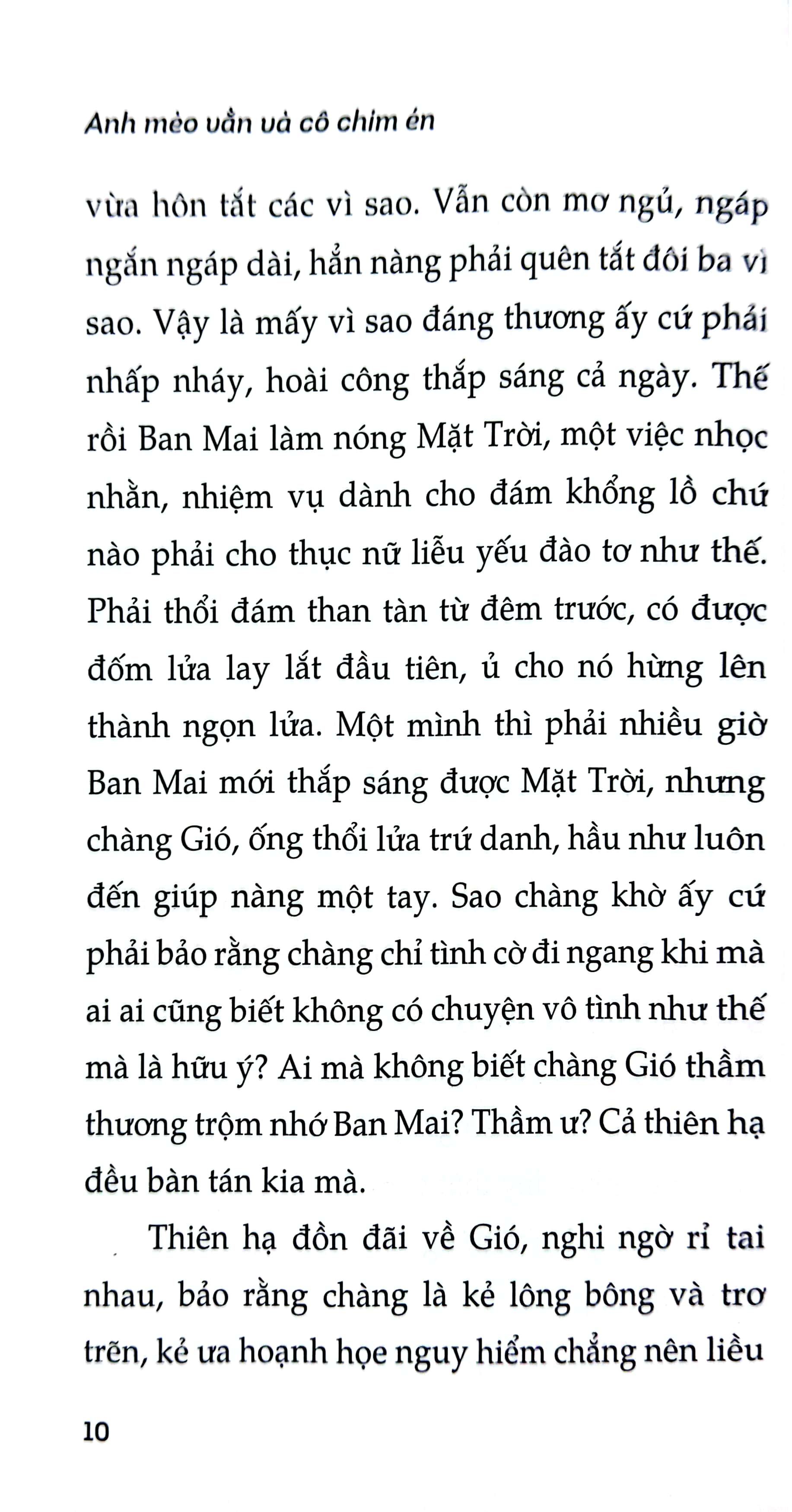 anh mèo vằn và cô chim én - một chuyện tình - Ảnh 6