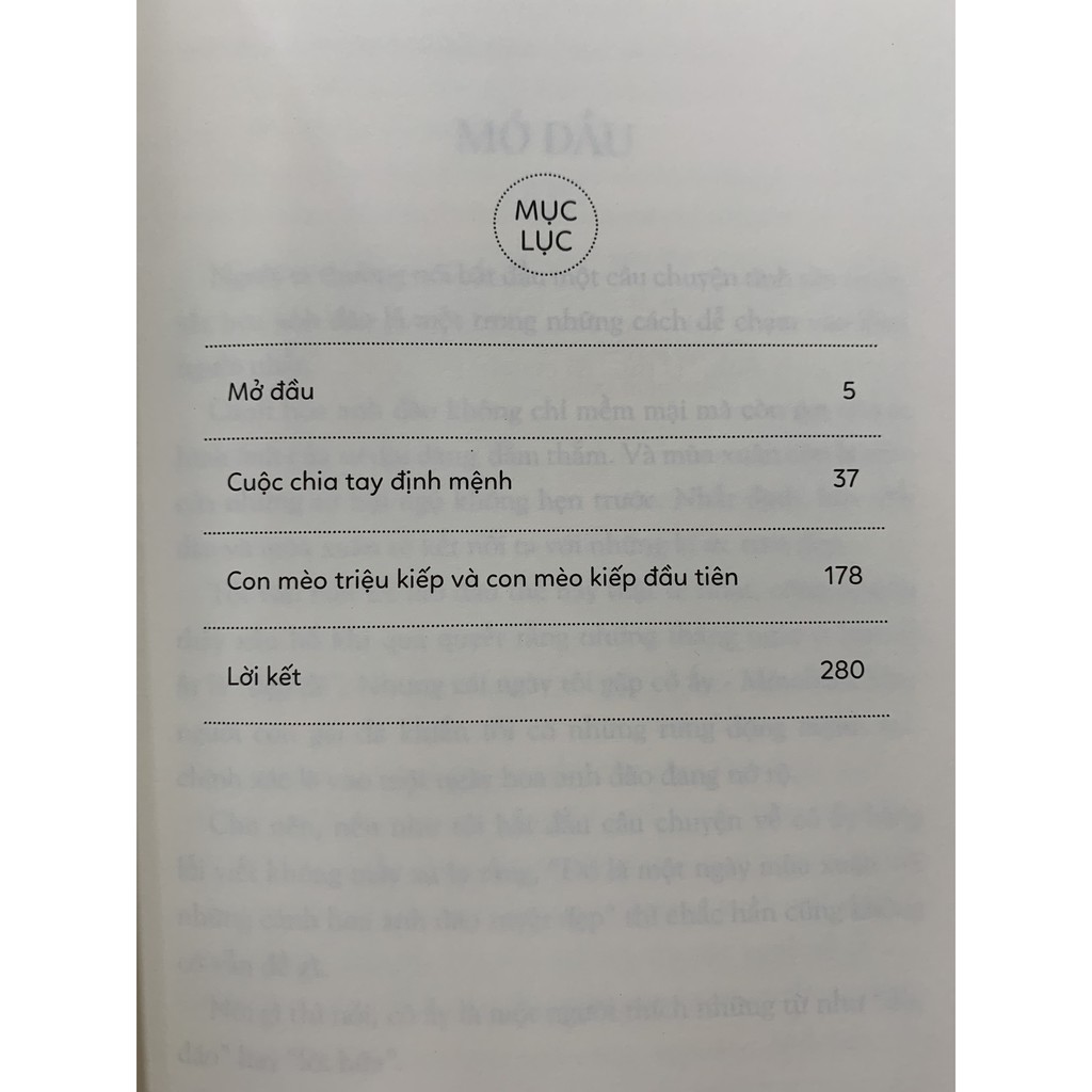 anh sẽ lại đếm ngày phải nói tạm biệt em - Ảnh 3