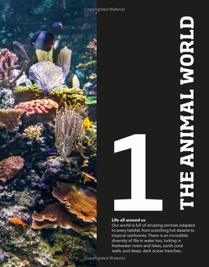 animal knowledge genius! : a quiz encyclopedia to boost your brain - Ảnh 11