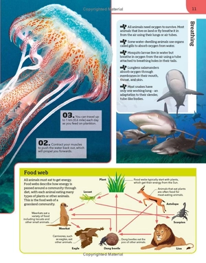 animal knowledge genius! : a quiz encyclopedia to boost your brain - Ảnh 13