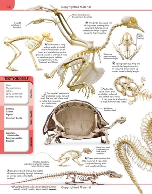 animal knowledge genius! : a quiz encyclopedia to boost your brain - Ảnh 14