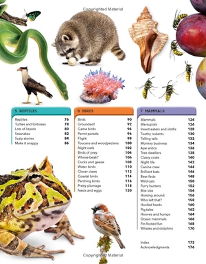 animal knowledge genius! : a quiz encyclopedia to boost your brain - Ảnh 7
