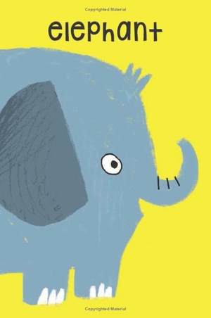 animal snap! flashcards - Ảnh 3