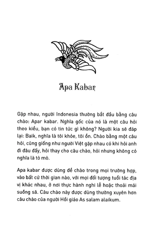 apa kabar! chào xứ vạn đảo dạo quanh indonesia - Ảnh 4